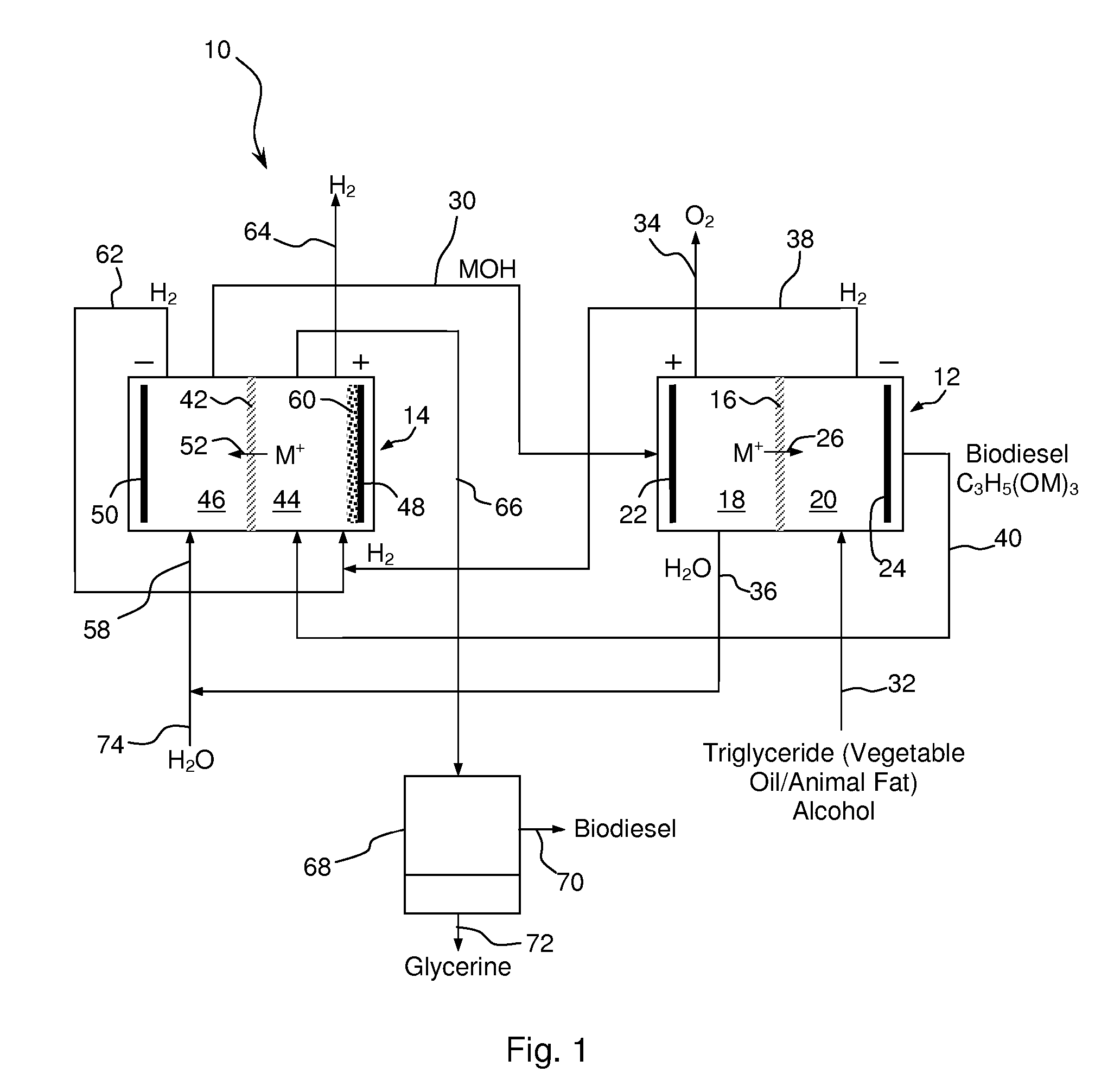 Synthesis of Biodiesel Using Alkali Ion Conductive Ceramic Membranes