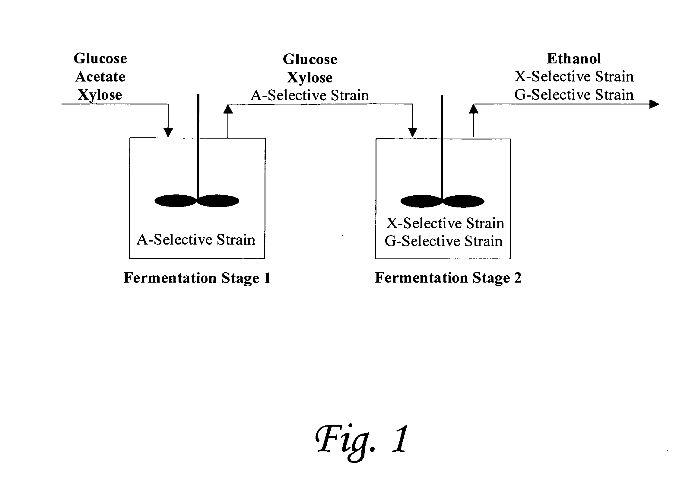 Substrate-selective co-fermentation process