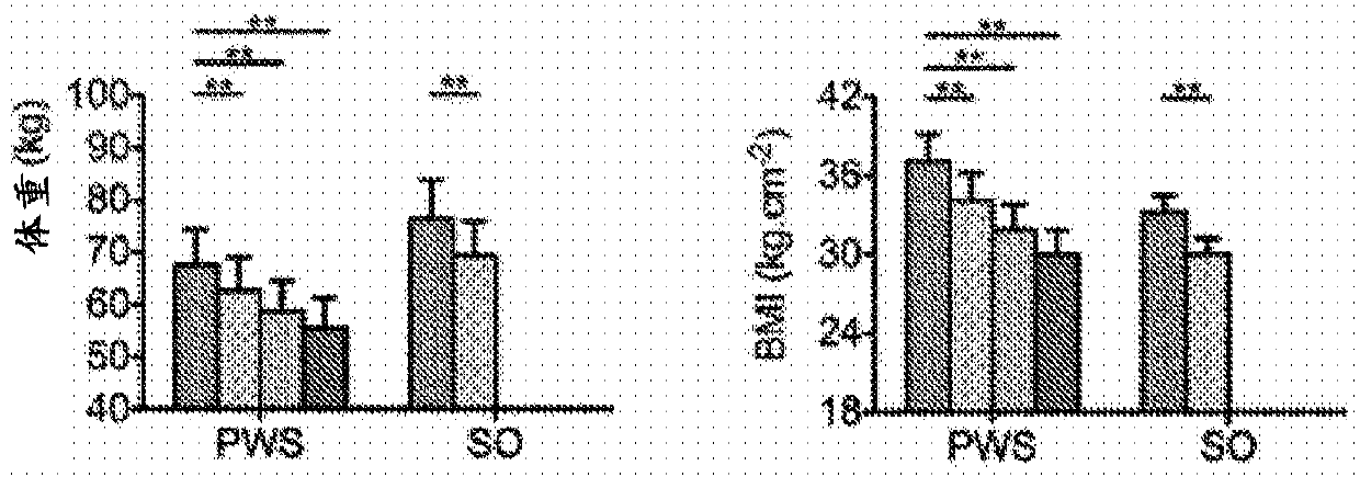 Bifidobacteria as probiotic foundation species of gut microbiota