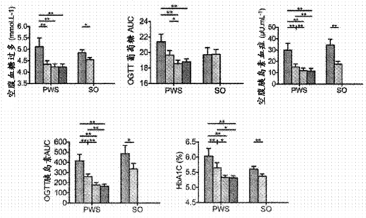 Bifidobacteria as probiotic foundation species of gut microbiota