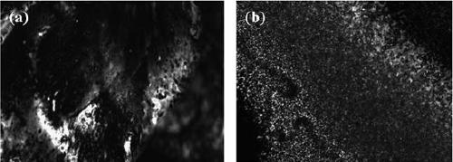 A liquid crystalline copolymer with electrical storage properties, its preparation method and its application in electrical storage