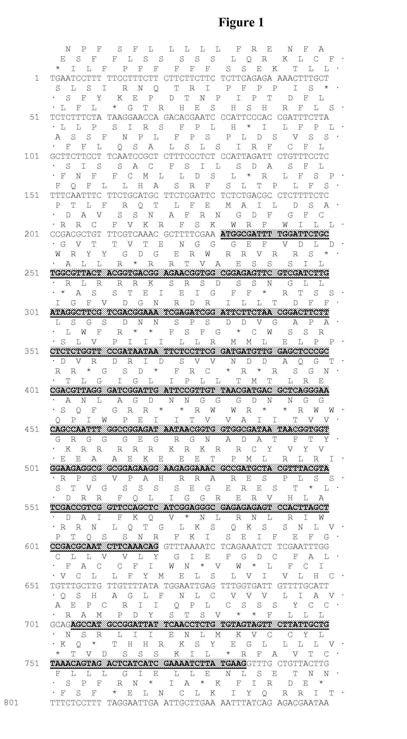 Enhanced Acyltransferase Polynucleotides, Polypeptides and Methods of Use