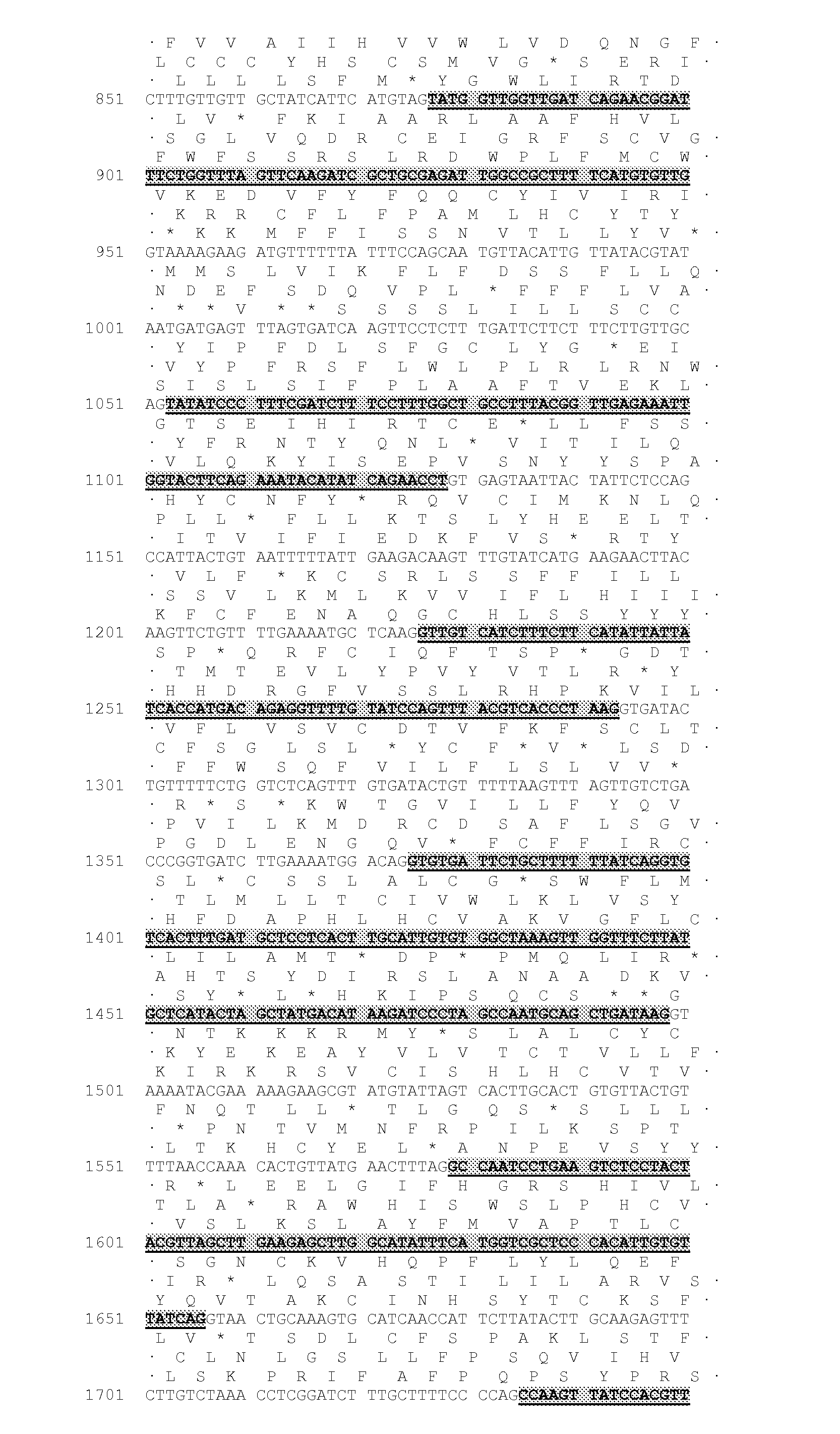 Enhanced Acyltransferase Polynucleotides, Polypeptides and Methods of Use