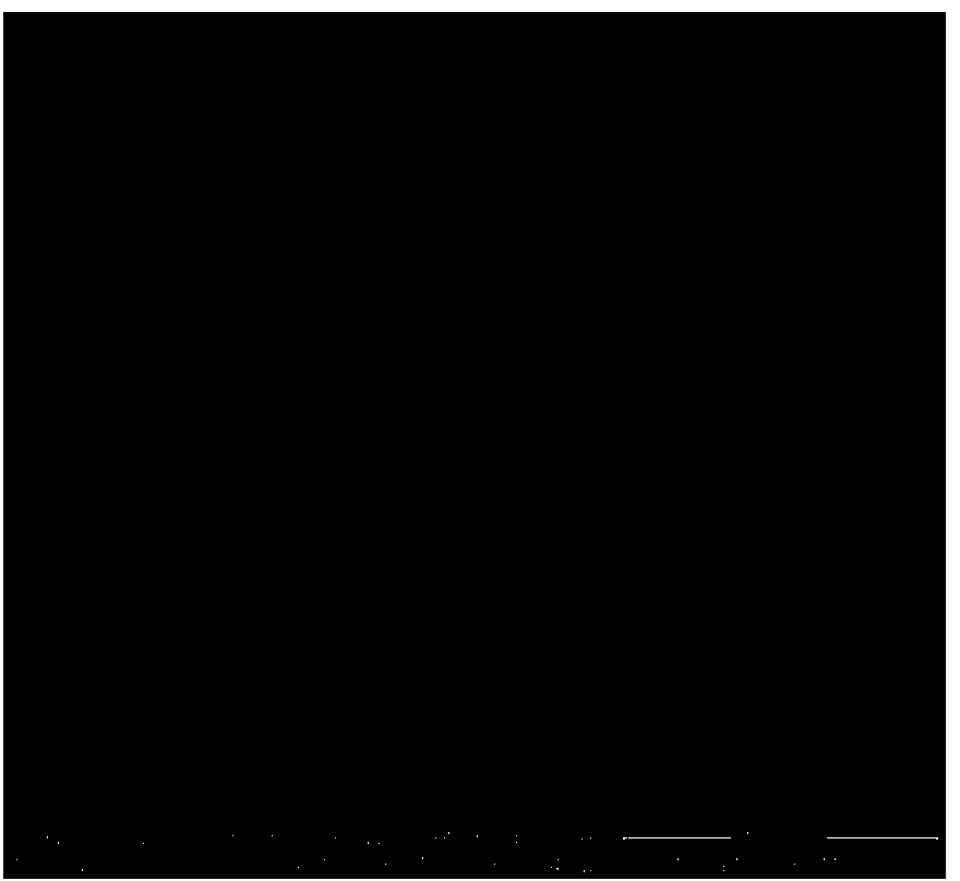 Preparation method of yttrium silicate ceramic powder