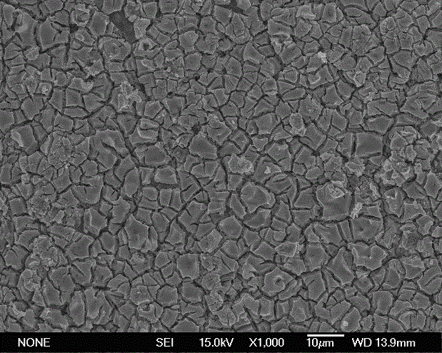 Preparation method of copper-doped coated electrode for treating printing and dyeing wastewater