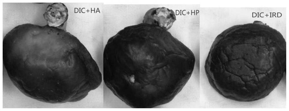 Processing method for improving rehydration characteristics and reconstitution quality of dried shiitake mushrooms