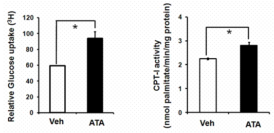 Anti-insulin resistance adenosine monophosphate-activated protein kinase agonist