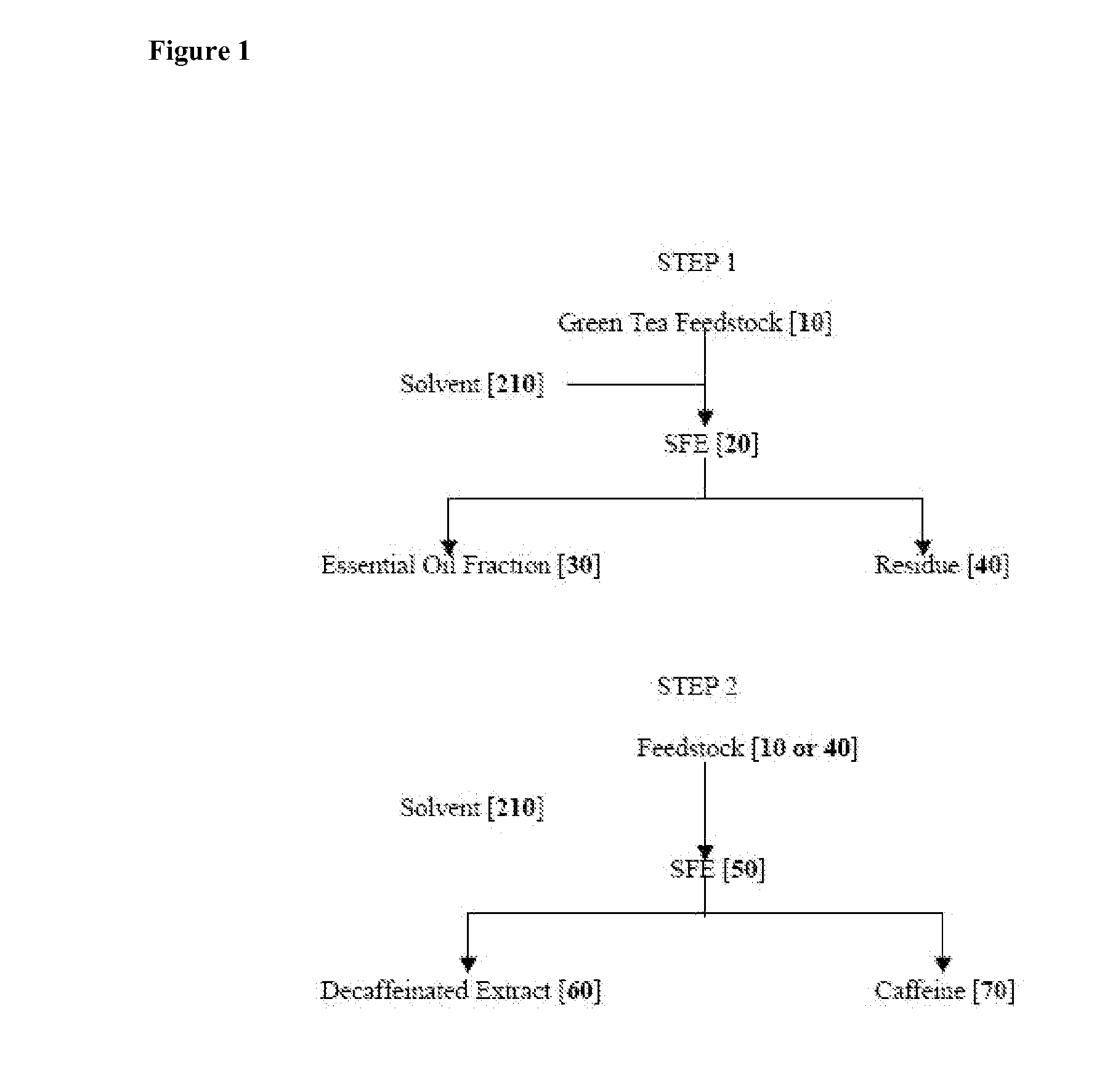 Extracts and Methods Comprising Green Tea Species