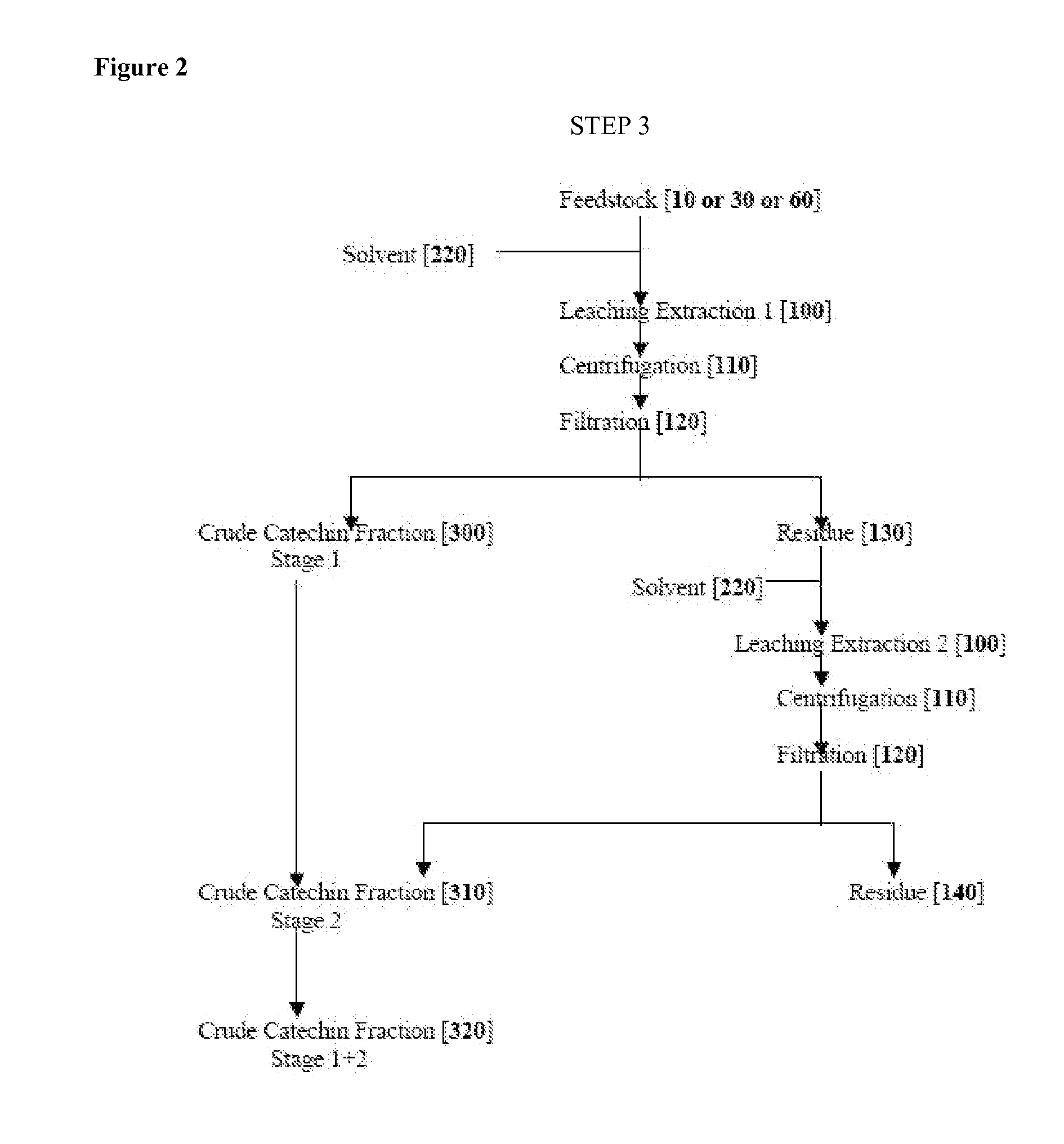 Extracts and Methods Comprising Green Tea Species