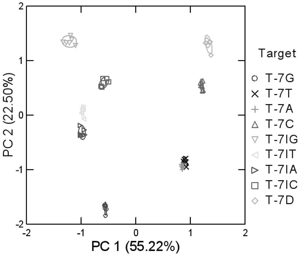 DNA probe and method for detecting dna single base mutation