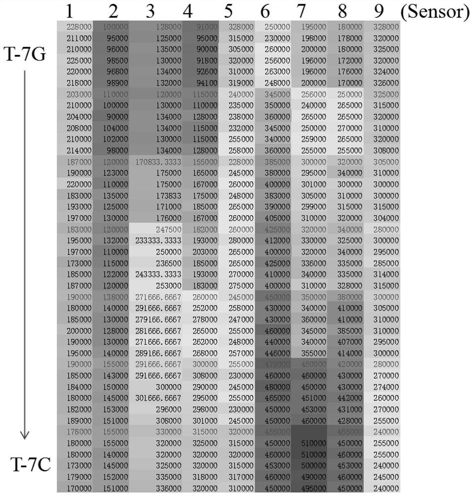 DNA probe and method for detecting dna single base mutation