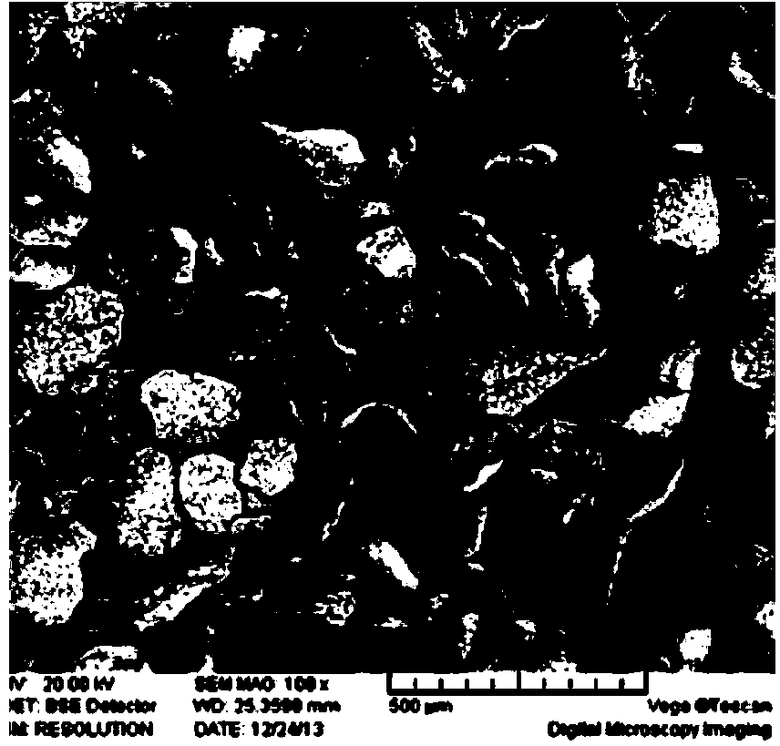 Method for preparing foamed magnesium used as buffering energy absorption material