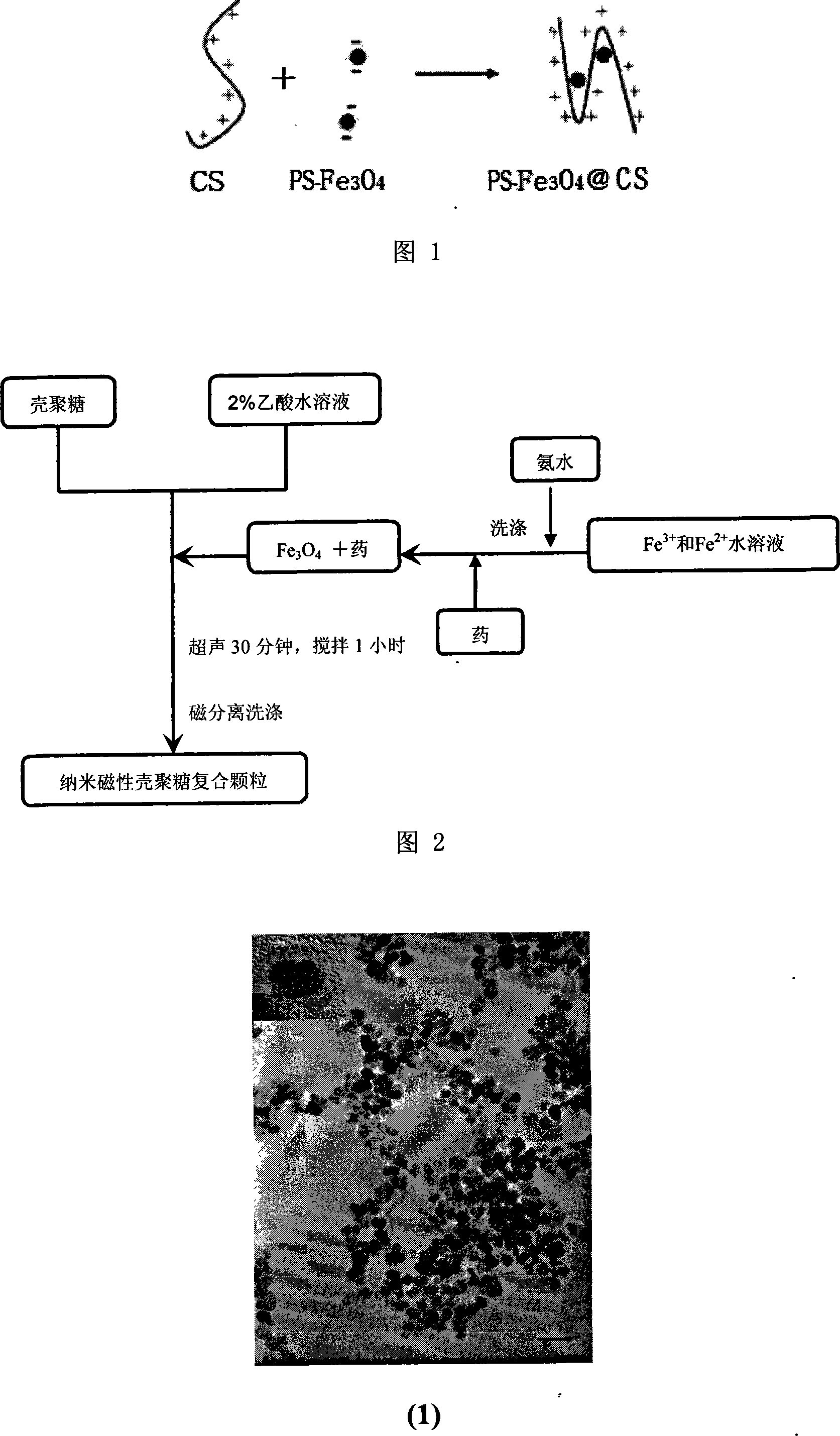 Method of producing nano magnetic chitosan composite particle for photodynamic medicament carrier