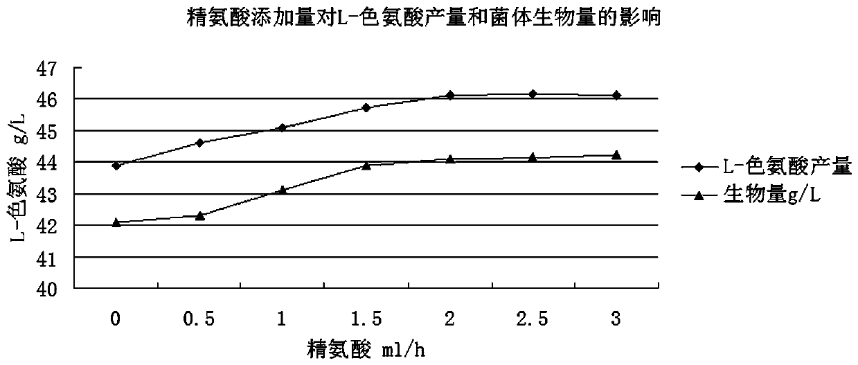 Method for producing tryptophan through fermentation of fed-batch culture liquid