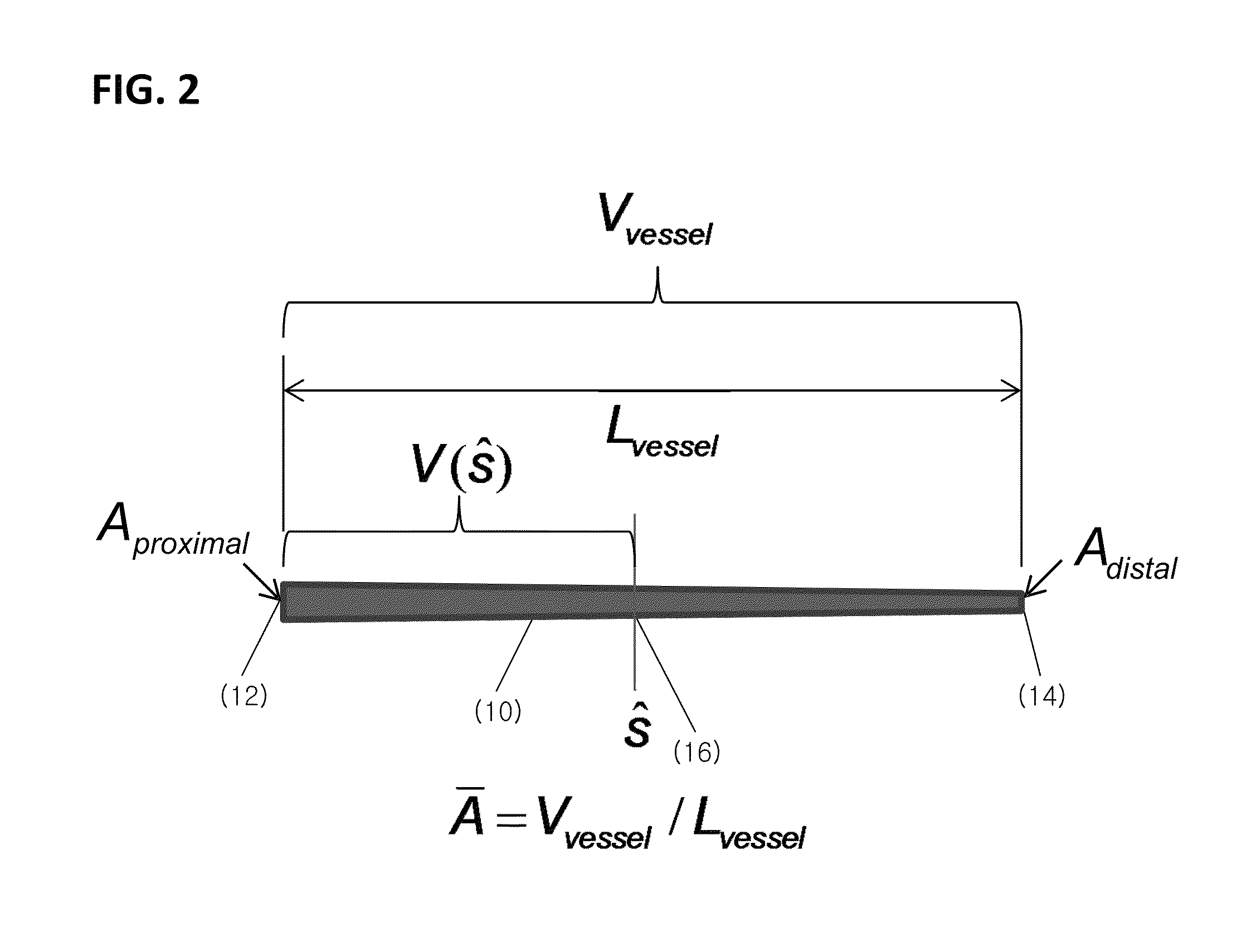 Method for estimating flow rates and pressure gradients in arterial networks from patient specific computed tomography angiogram-based contrast distribution data