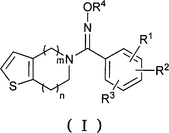 Oxime derivatives containing thienopyridine, preparation method and application thereof