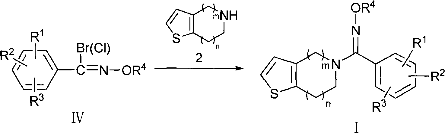 Oxime derivatives containing thienopyridine, preparation method and application thereof