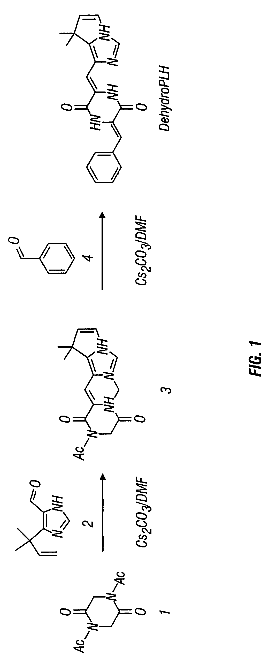 Dehydrophenylahistins and analogs thereof and the synthesis of dehydrophenylahistins and analogs thereof