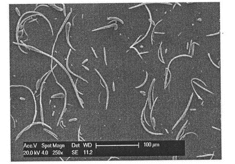 Non-spherical drug-loaded particles and controlled release preparation of lactyl polymer and preparation methods thereof