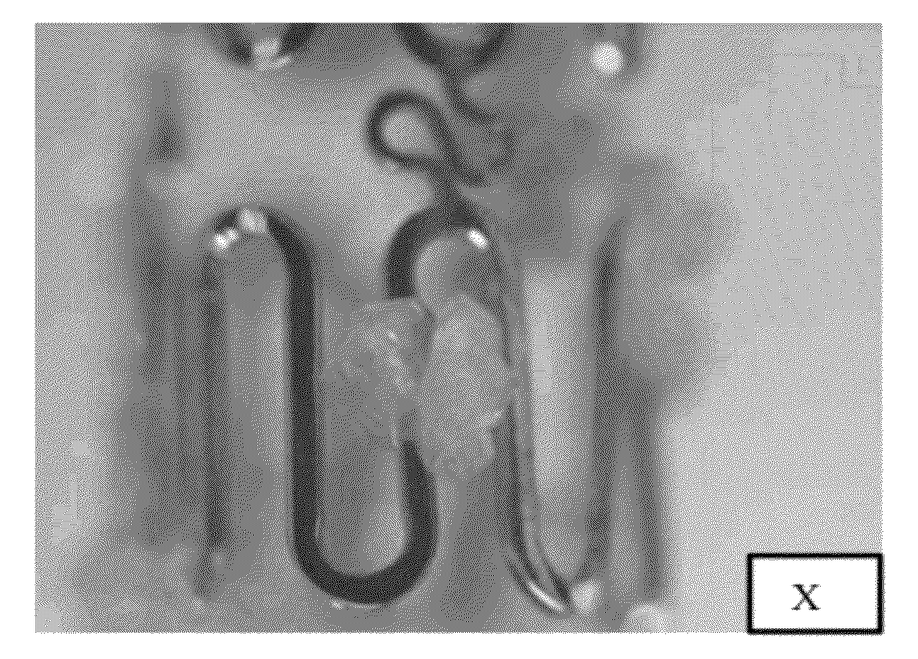 Crystalline drug-containing coatings