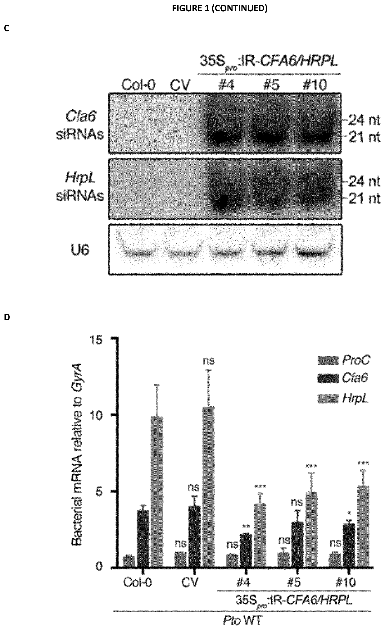 Rna-based therapeutic methods to protect animals against pathogenic bacteria and / or promote beneficial effects of symbiotic and commensal bacteria