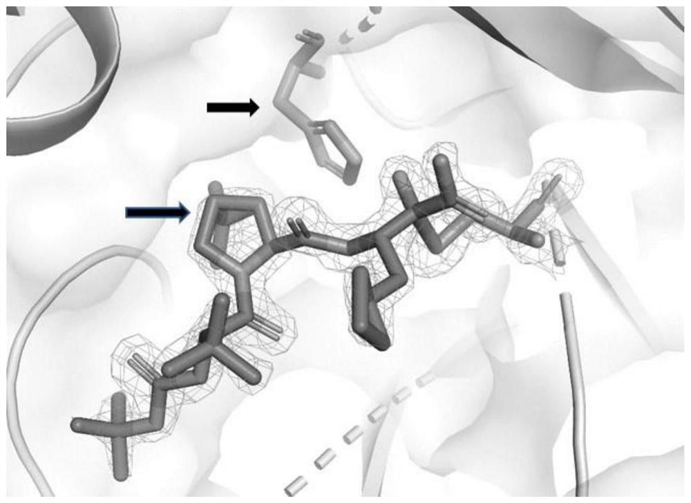 Application of boceprevir in treating or improving novel coronavirus pneumonia