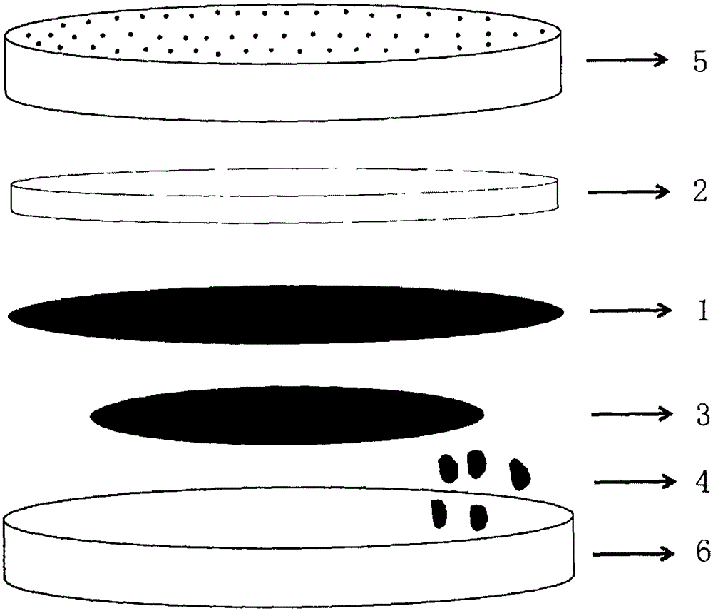 Method for protecting anode of lithium sulfur battery