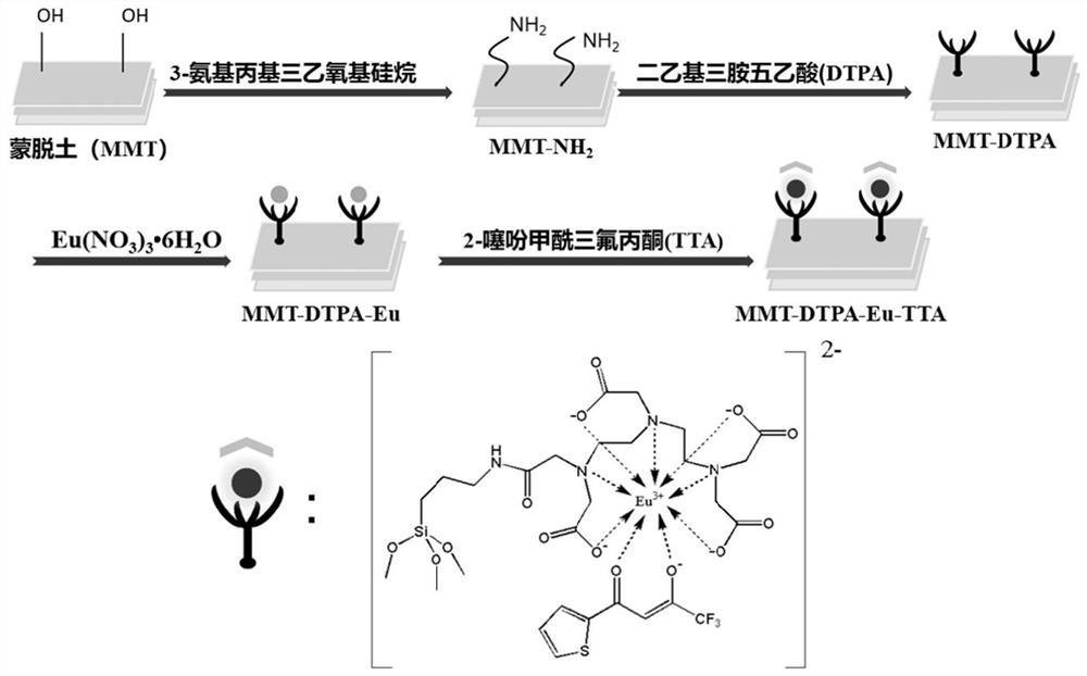 Inorganic hybrid probe as well as preparation method and application thereof