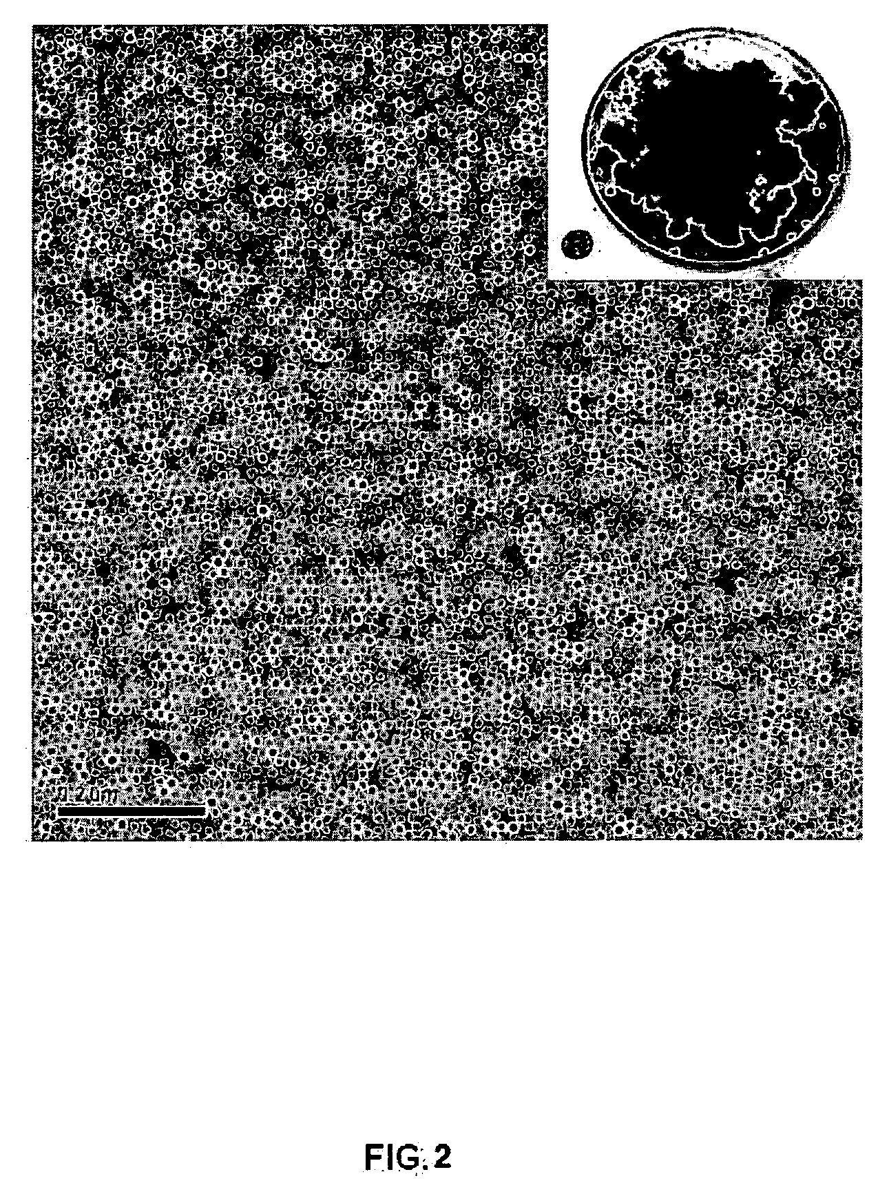 Process for large-scale production of monodisperse nanoparticles