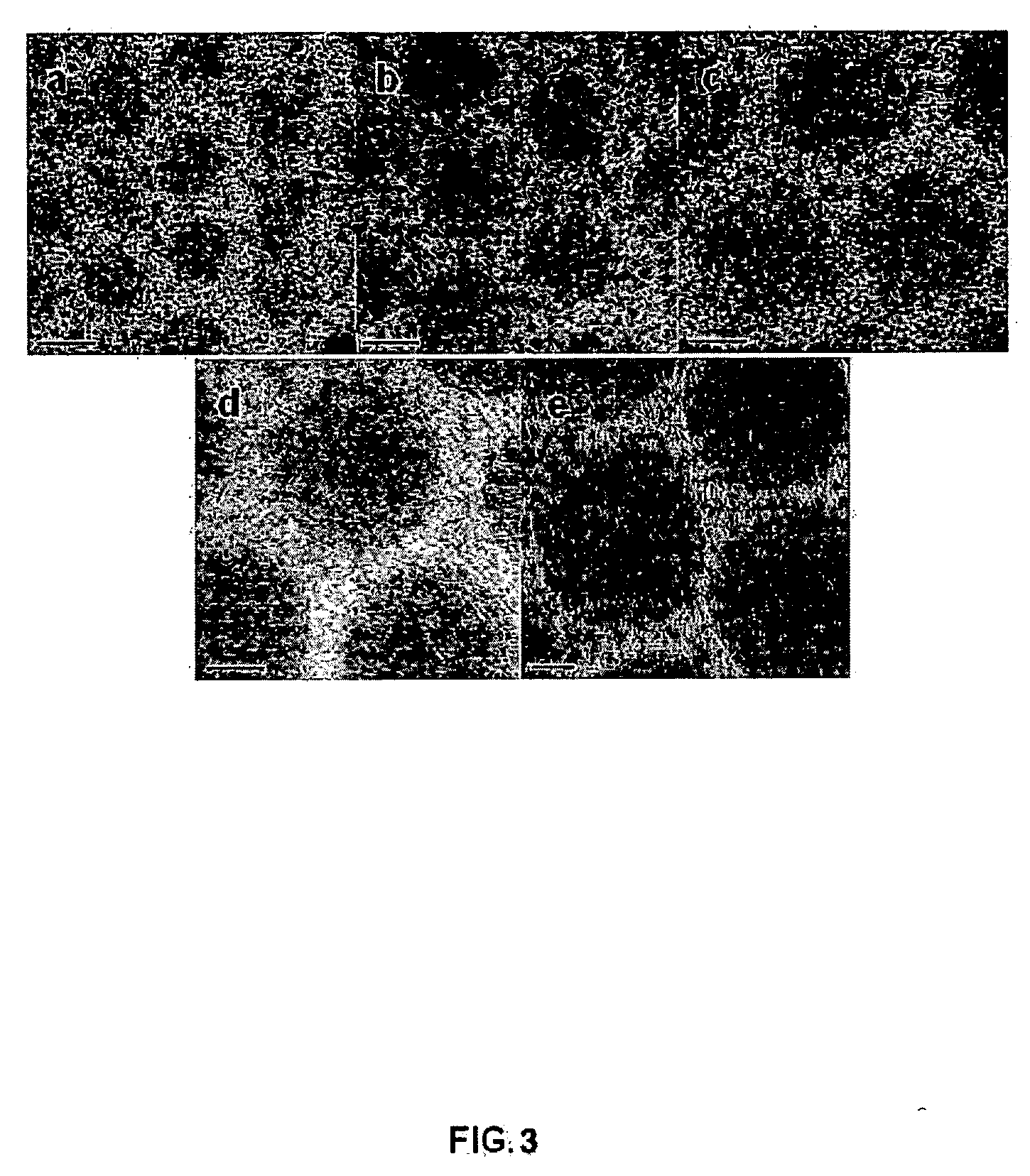 Process for large-scale production of monodisperse nanoparticles