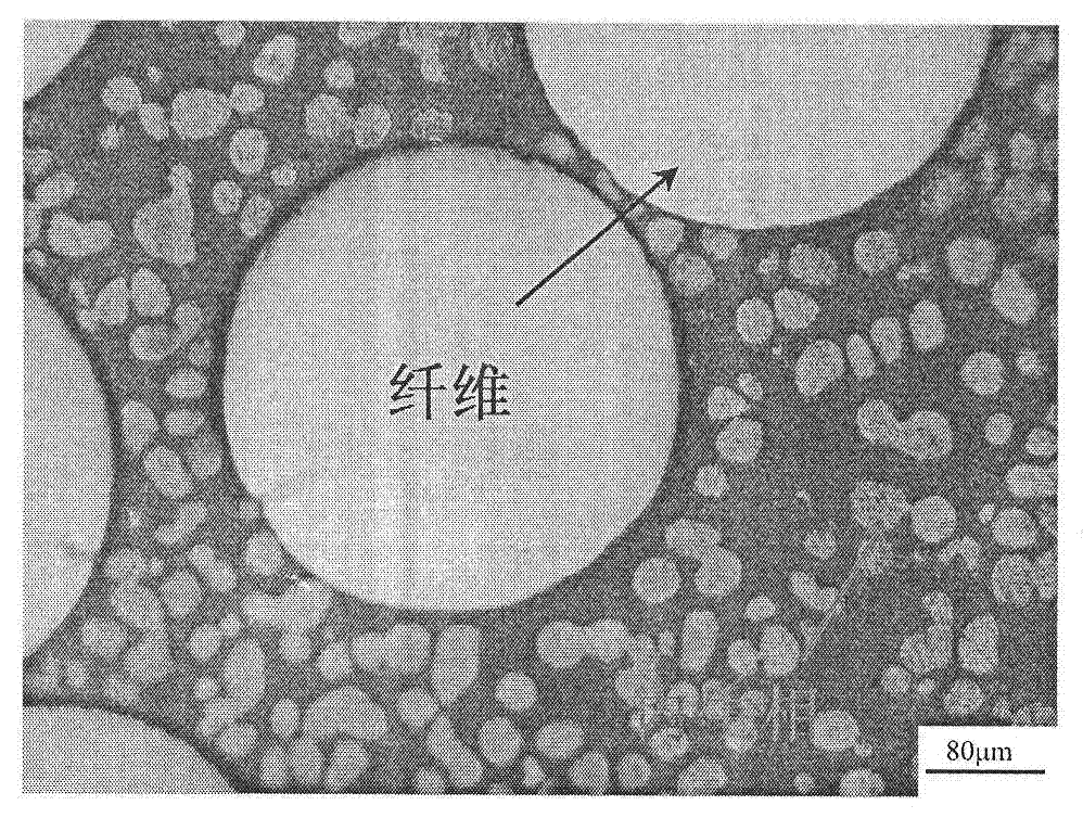 Dual composite high strength and toughness block amorphous alloy and preparation method thereof