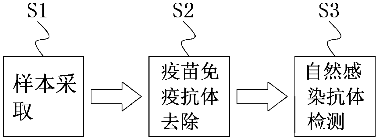 Kit for rapidly detecting animal hydatid natural infection antibody