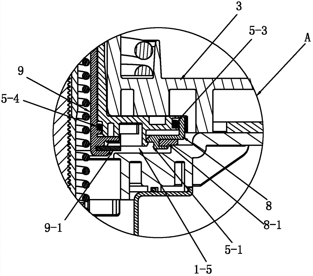 Flushing mechanism