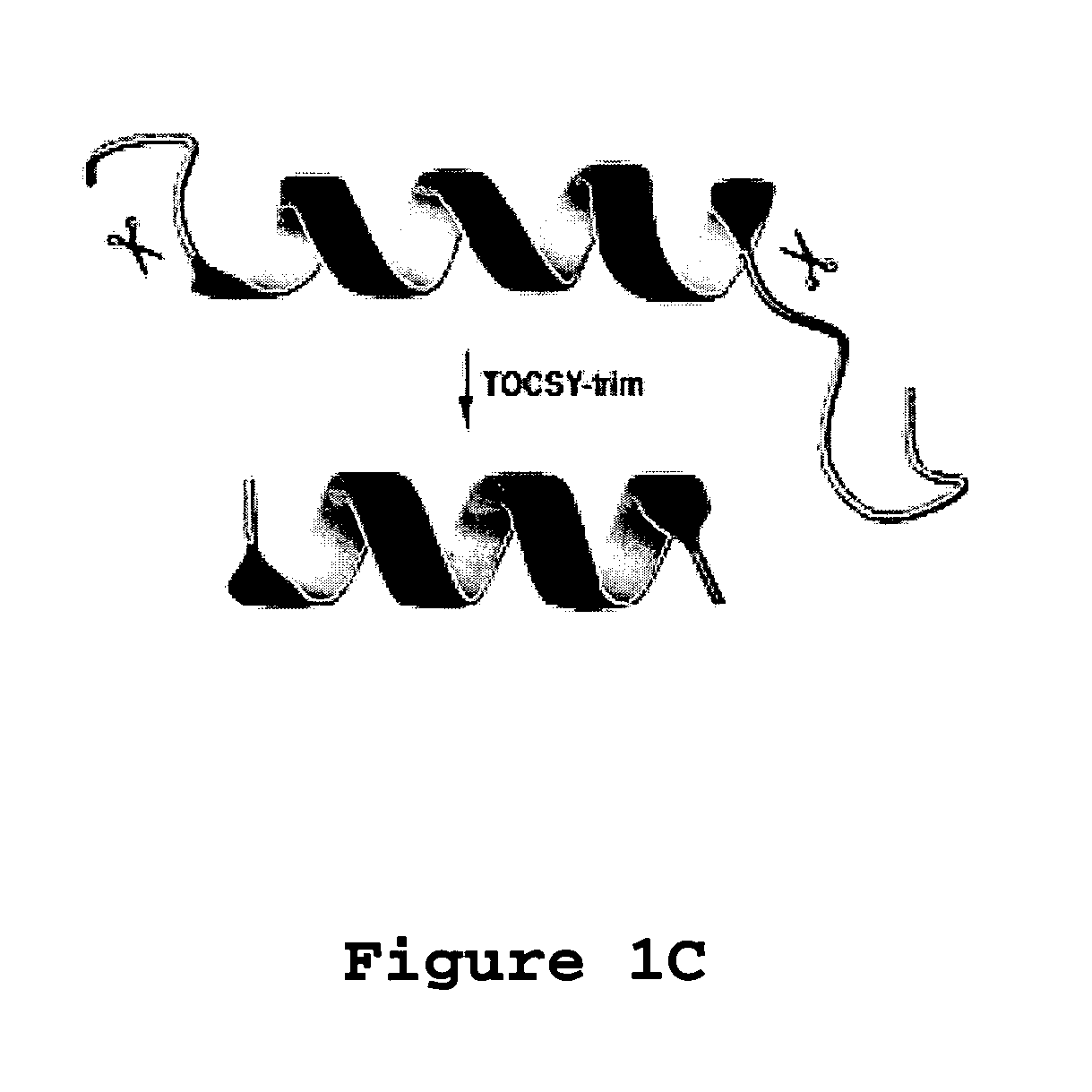 Antimicrobial peptides and methods of identifying the same