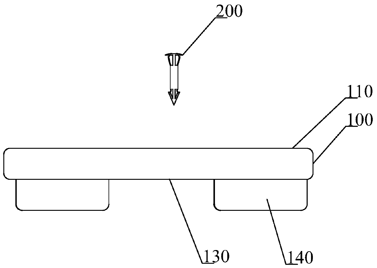 Specimen fixing device and method for making animal mucosal tissue specimens