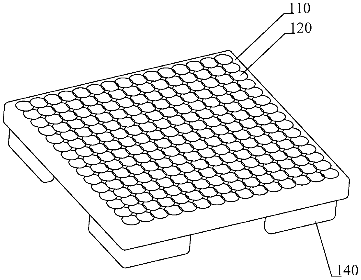 Specimen fixing device and method for making animal mucosal tissue specimens