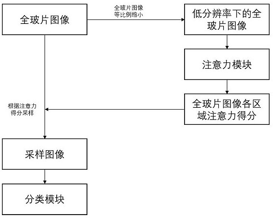 A method for auxiliary diagnosis of cervical histopathology based on attention mechanism