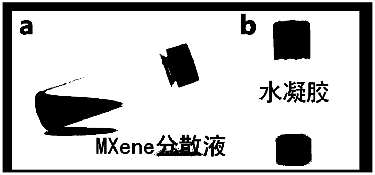 Method for preparing two-dimensional layered transition metal nanosheet gel