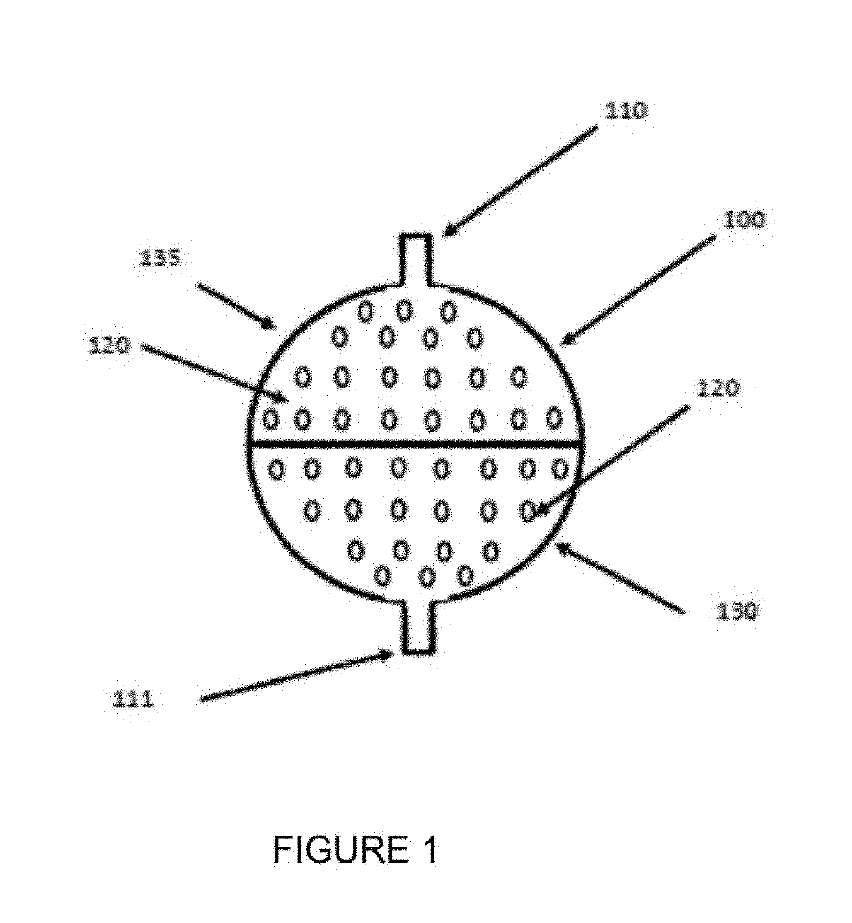 System for infusing a gas or liquids into the roots of a plant