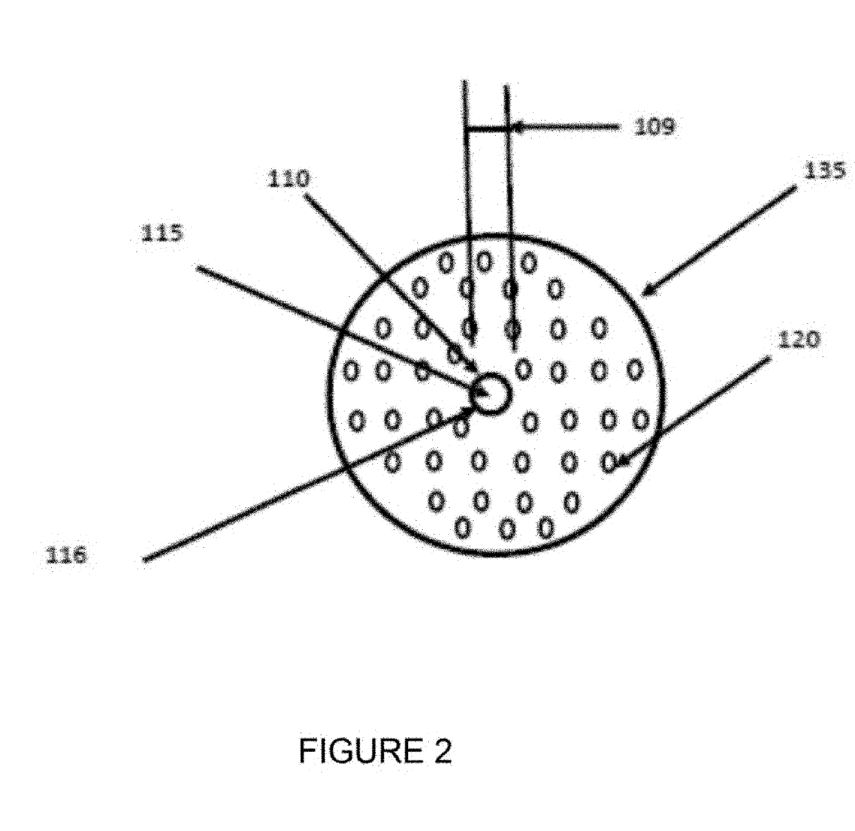 System for infusing a gas or liquids into the roots of a plant