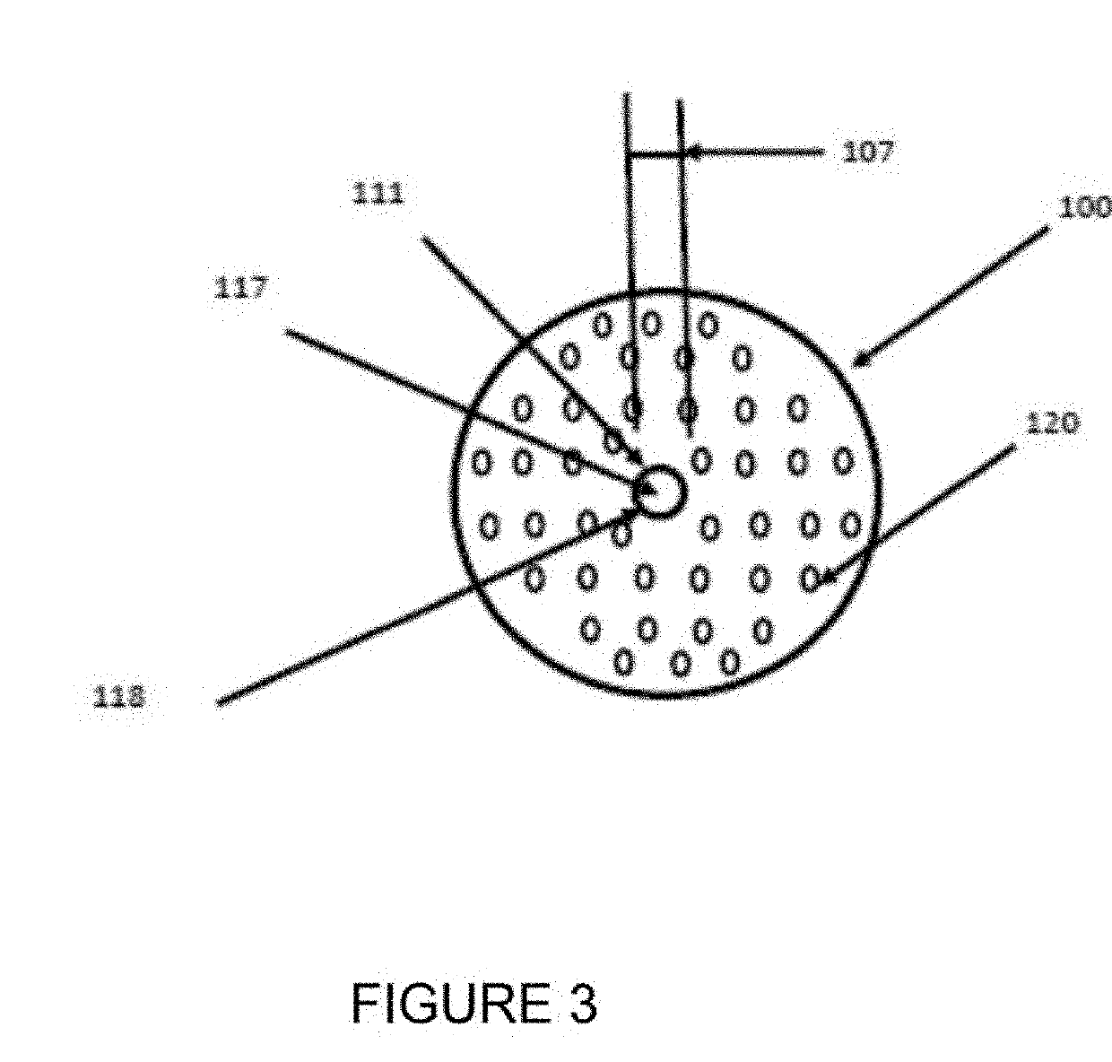 System for infusing a gas or liquids into the roots of a plant