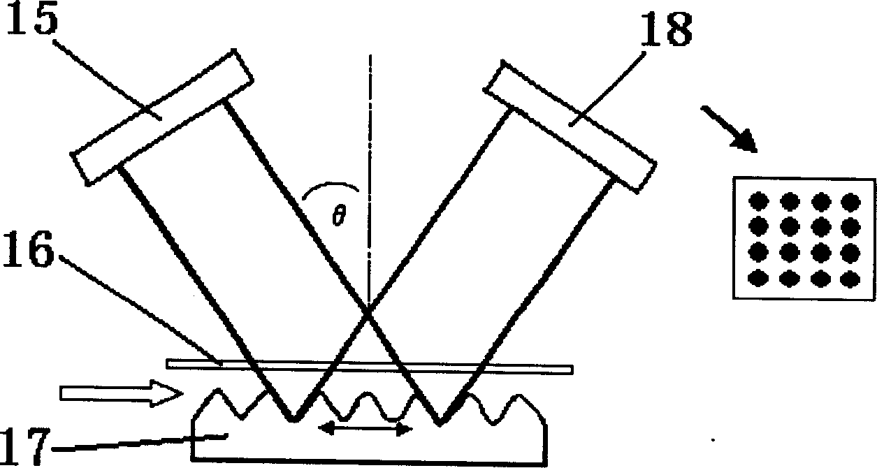 Protein microarray surface plasma resonance imaging detection system and detection method