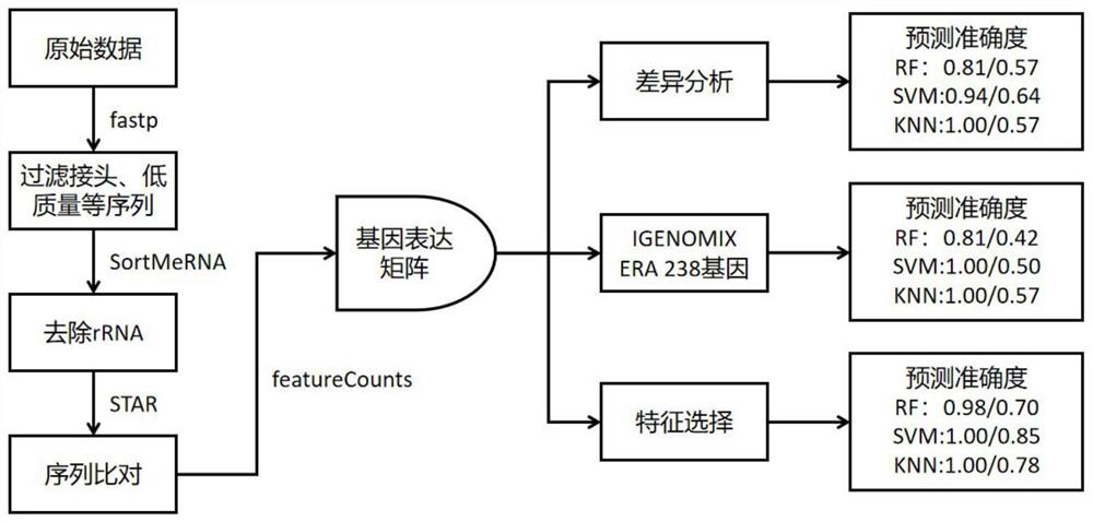 Gene marker panels and their applications for the assessment of endometrial receptivity