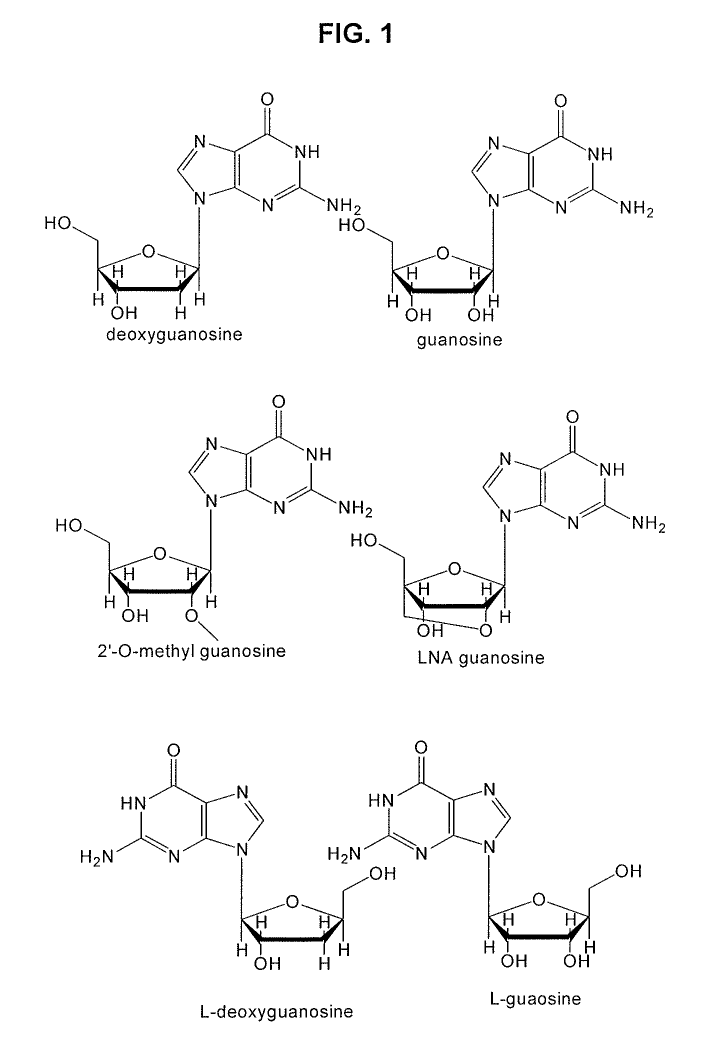 Guanosine-rich modified oligonucleotides and antiproliferative activity thereof