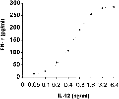 Method for detecting activity of recombinant human interleukin 12 (rhIL-12) protein