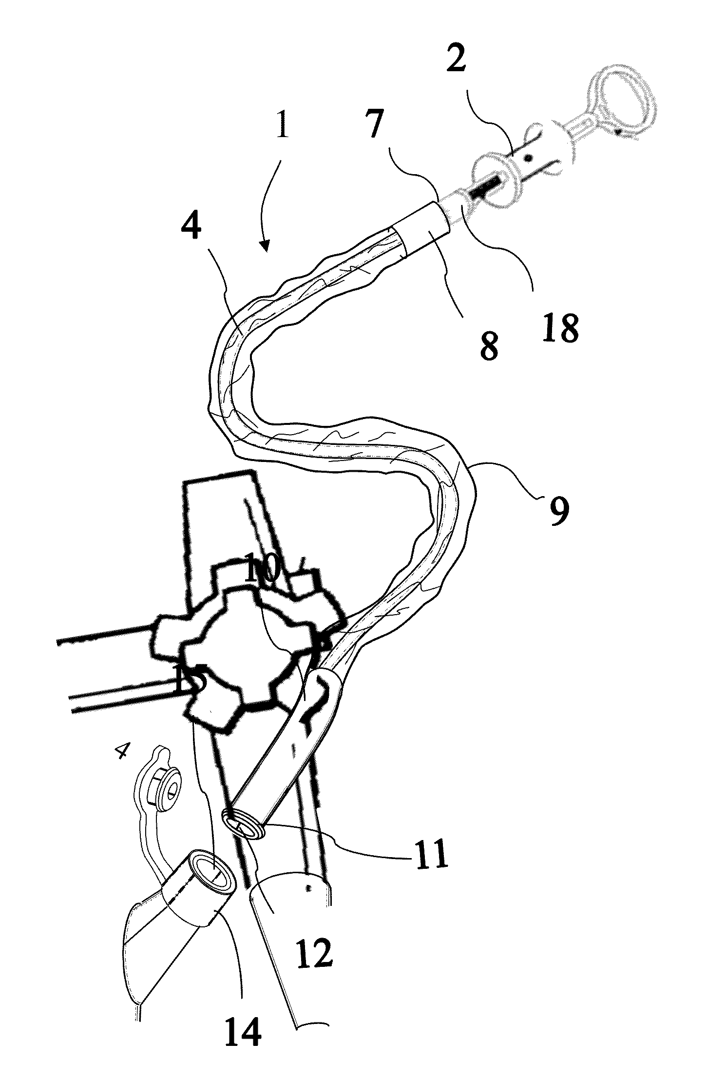 Method and Device for Improved Hygiene During using Endoscopic accessory tools