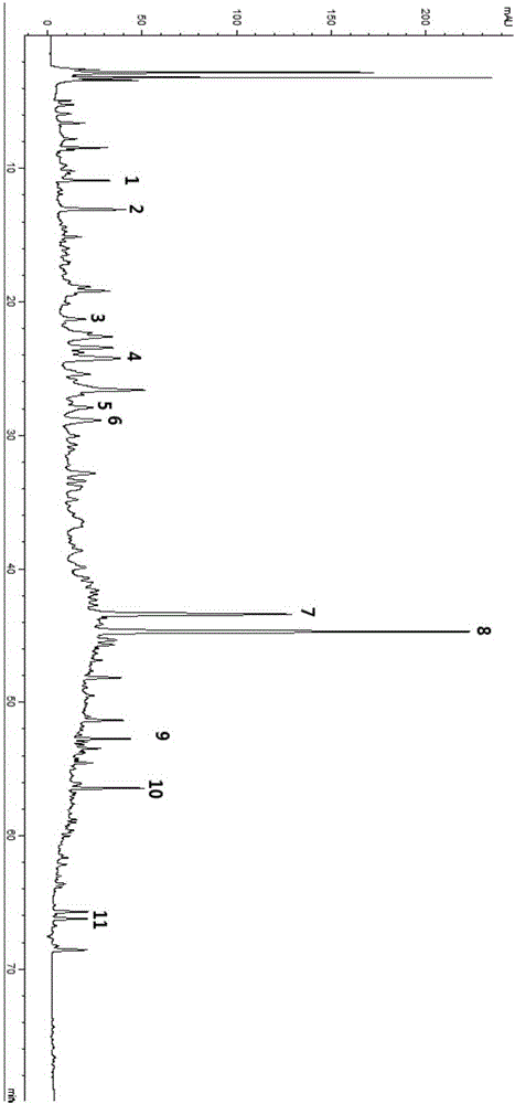 Establishing method for dendrobe characteristic fingerprint spectrum