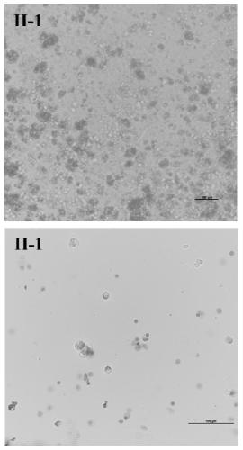 Kit for separating single cells and applications thereof