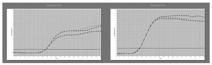 Sequence siRNA-288 achieving targeted inhibition of mouse interleukin-17A gene