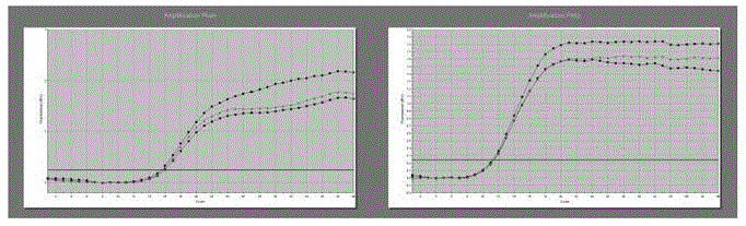 Sequence siRNA-288 achieving targeted inhibition of mouse interleukin-17A gene